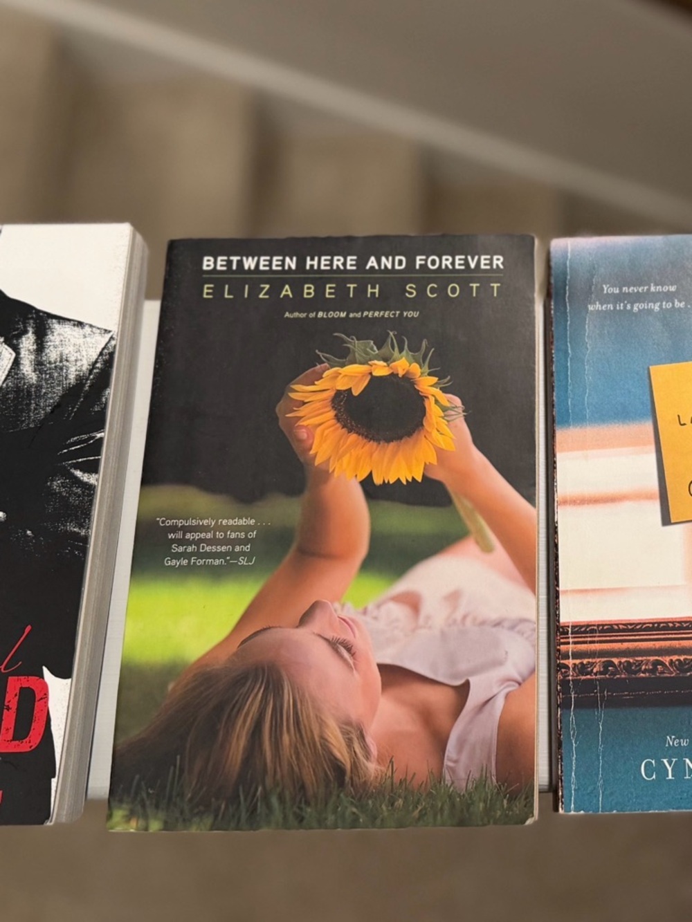 Between Here and Forever by Elizabeth Scott- Paperback Novel